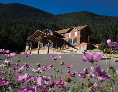 Bosques de Monterreal